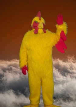 Chicken