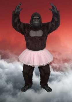 Gorilla